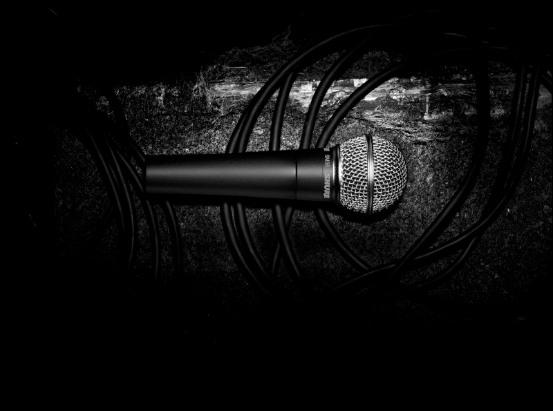 Shure SM58 Microphone