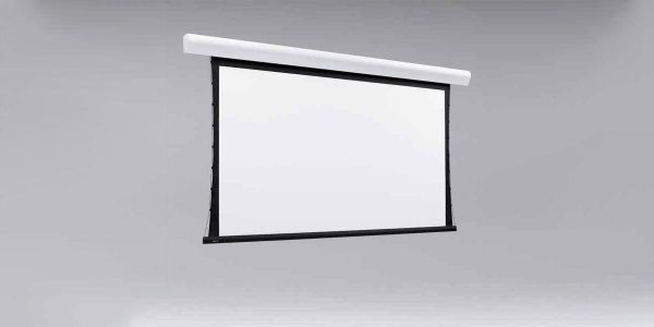 Draper Projection Screen
